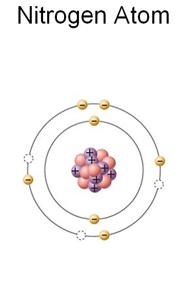 Nitrogen Atom